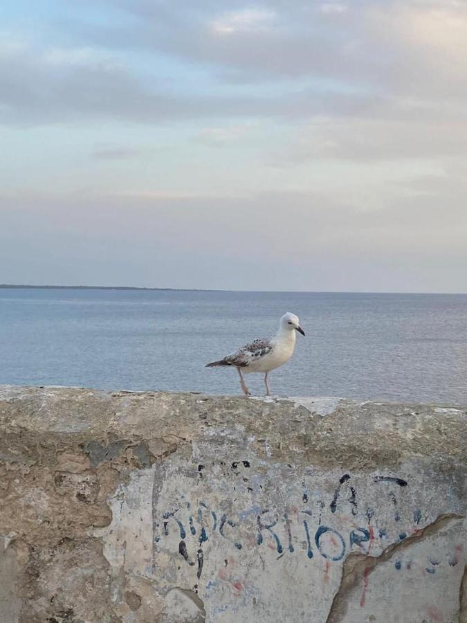 Appartement Attico In Riva Al Mare Gallipoli
