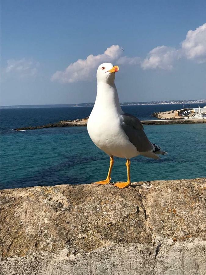 Attico In Riva Al Mare *